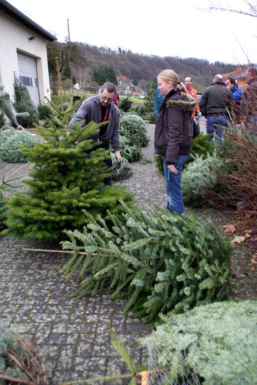 Weihnachtsbaumverkauf 2008 Bild Nr.026